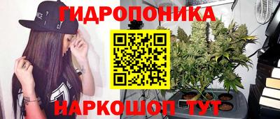 гидра Кулебаки