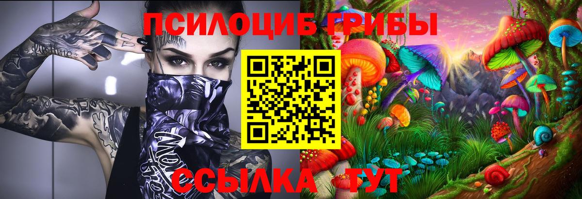 Псилоцибиновые грибы Cubensis Калининград
