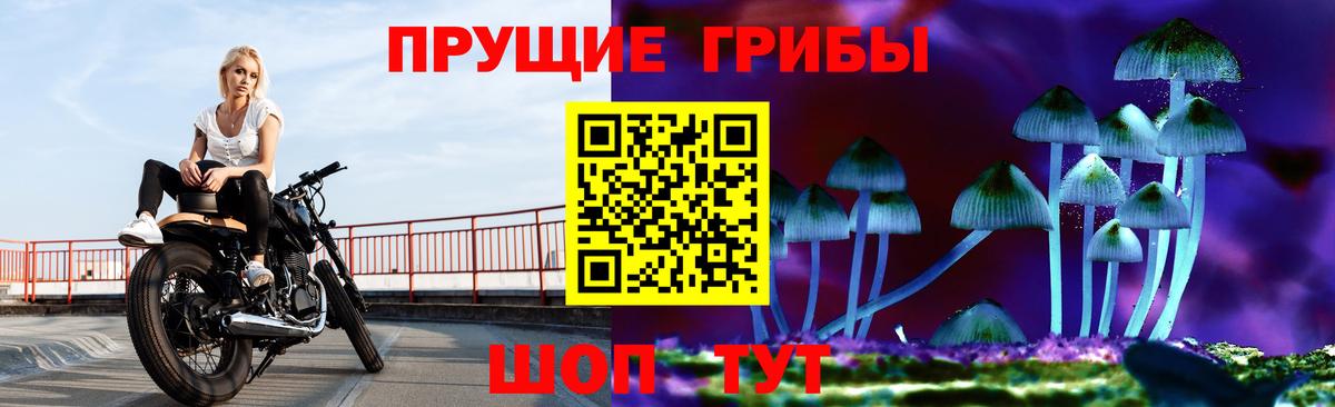 Галлюциногенные грибы Magic Shrooms  Псилоцибиновые грибы Psilocybine cubensis  Вход с VPN  Калининград 
